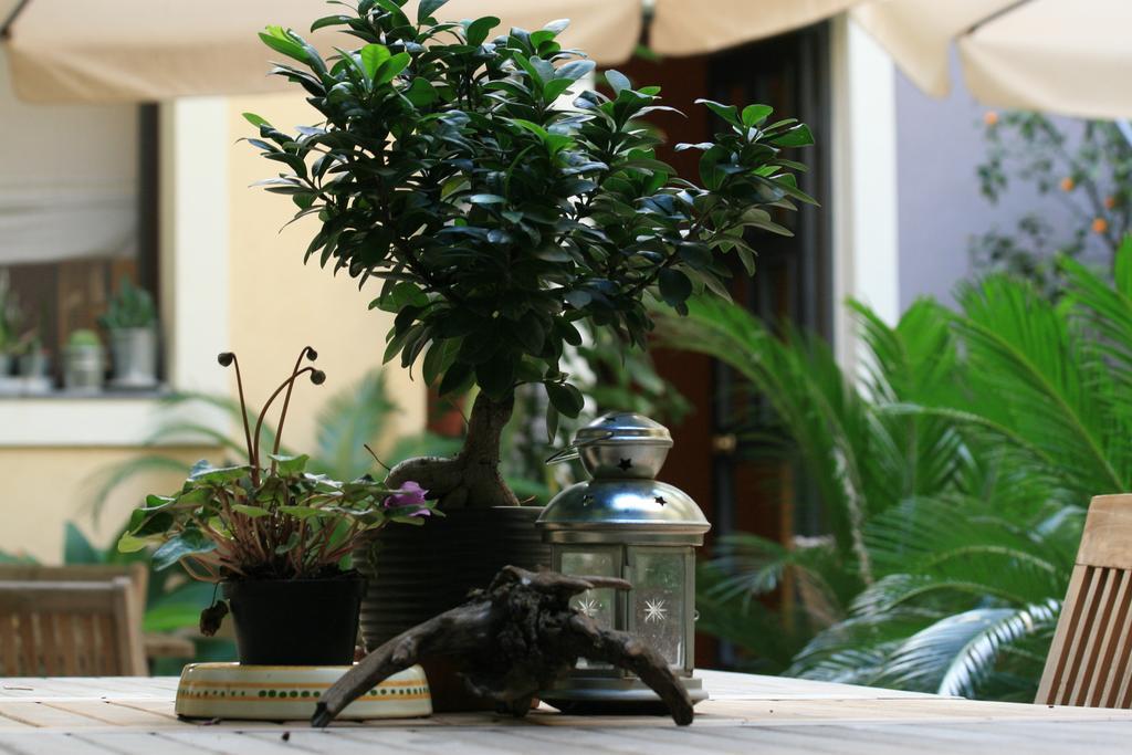 Casa Barbero Charme B&B คาตาเนีย ภายนอก รูปภาพ